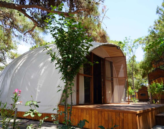 Glamping Çadır